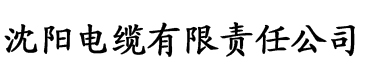 国产av成人精品无码专区毛片人电缆厂logo